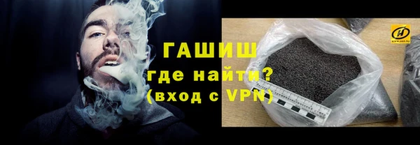 прущие грибы Балабаново