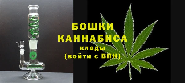прущие грибы Балабаново