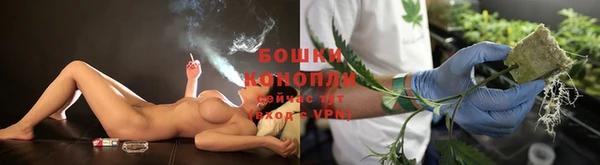 прущие грибы Балабаново