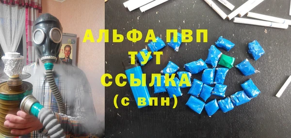прущие грибы Балабаново