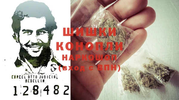 прущие грибы Балабаново